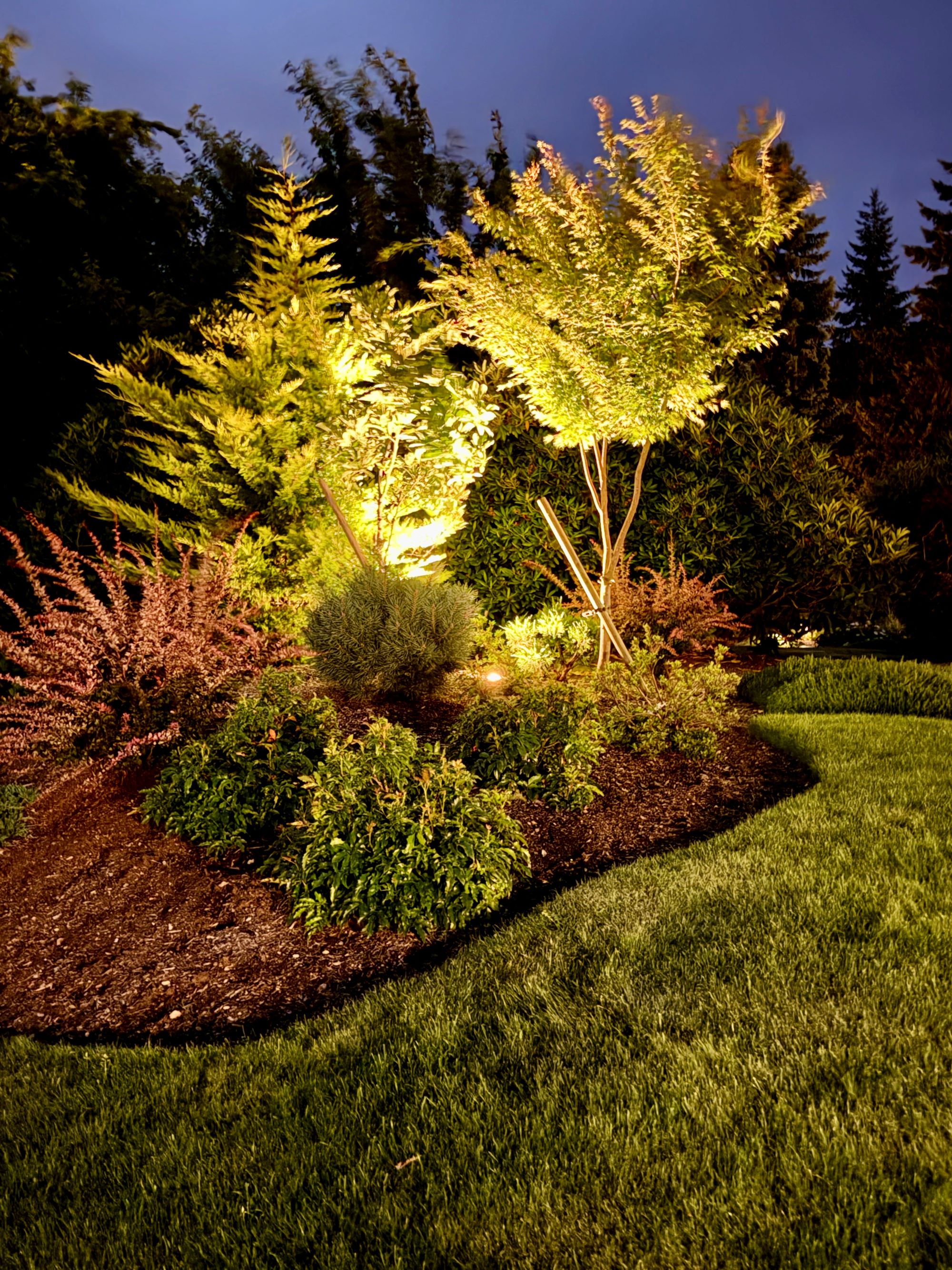 Low Voltage Shrubbery Lighting