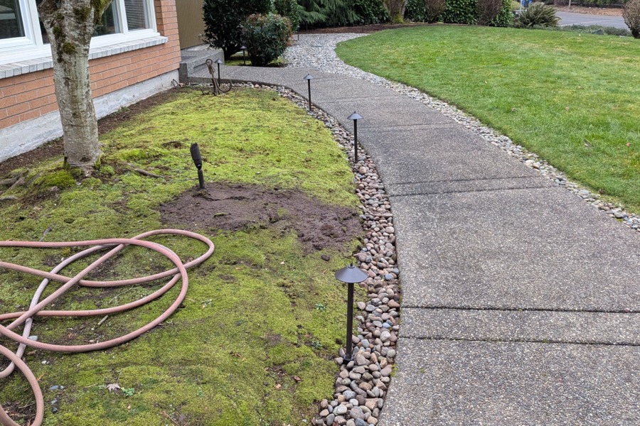 Low Voltage Path Lights