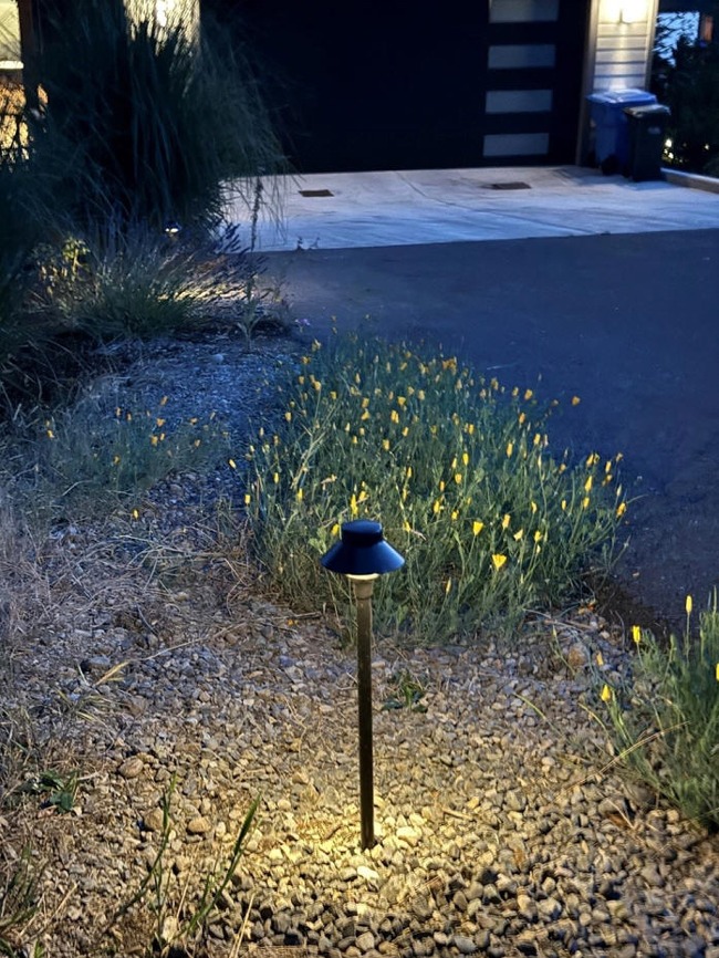 Fox Island Low Voltage Lighting